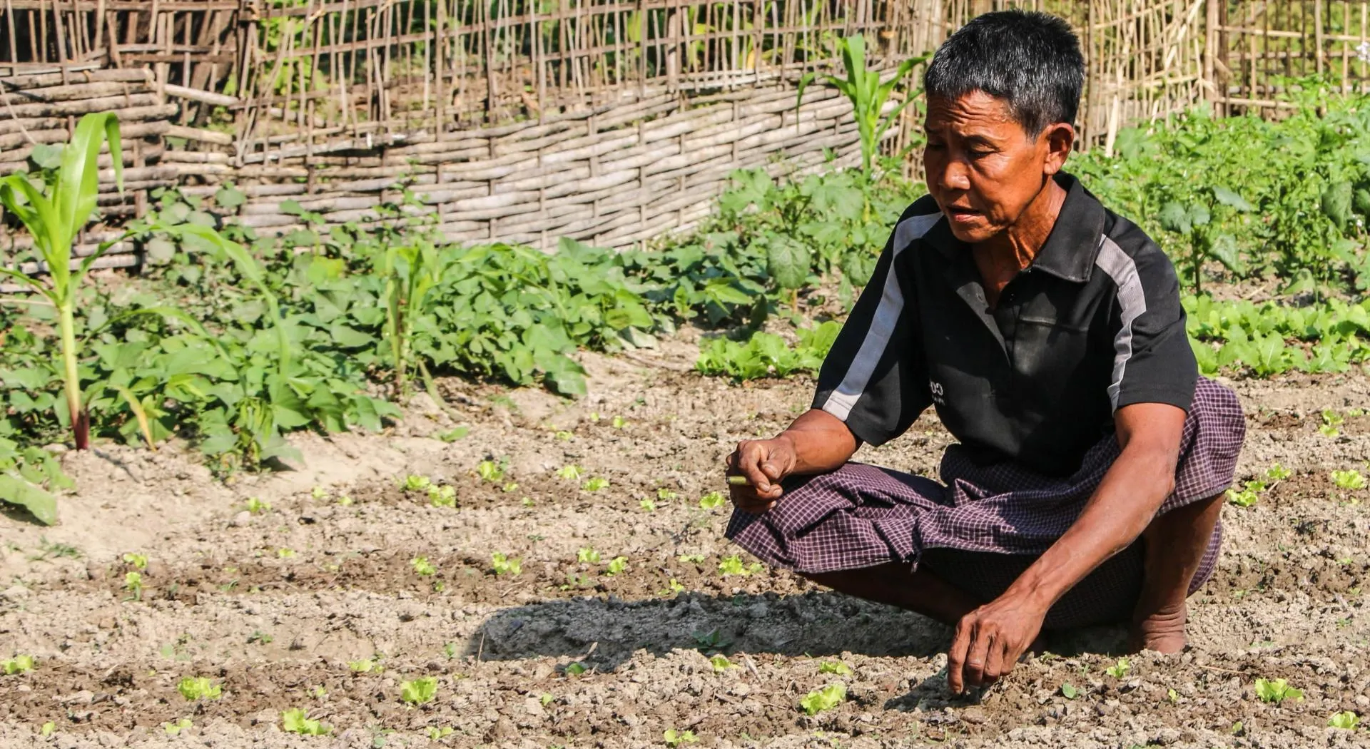 Farmer in Myanmar