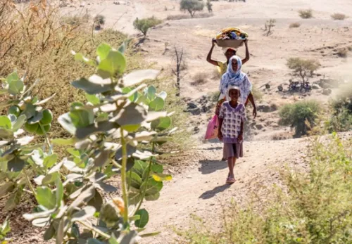 Refugees in Ethiopia