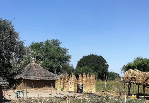 Unfinished houses in South Sudan